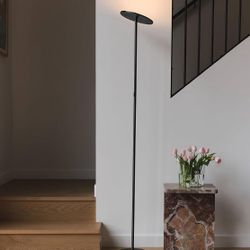 Modern LED Floor Lamp 