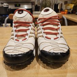 Nike Air Max Plus TN SE Men's Shoes