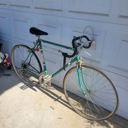 Vintage 10 Speed bike !