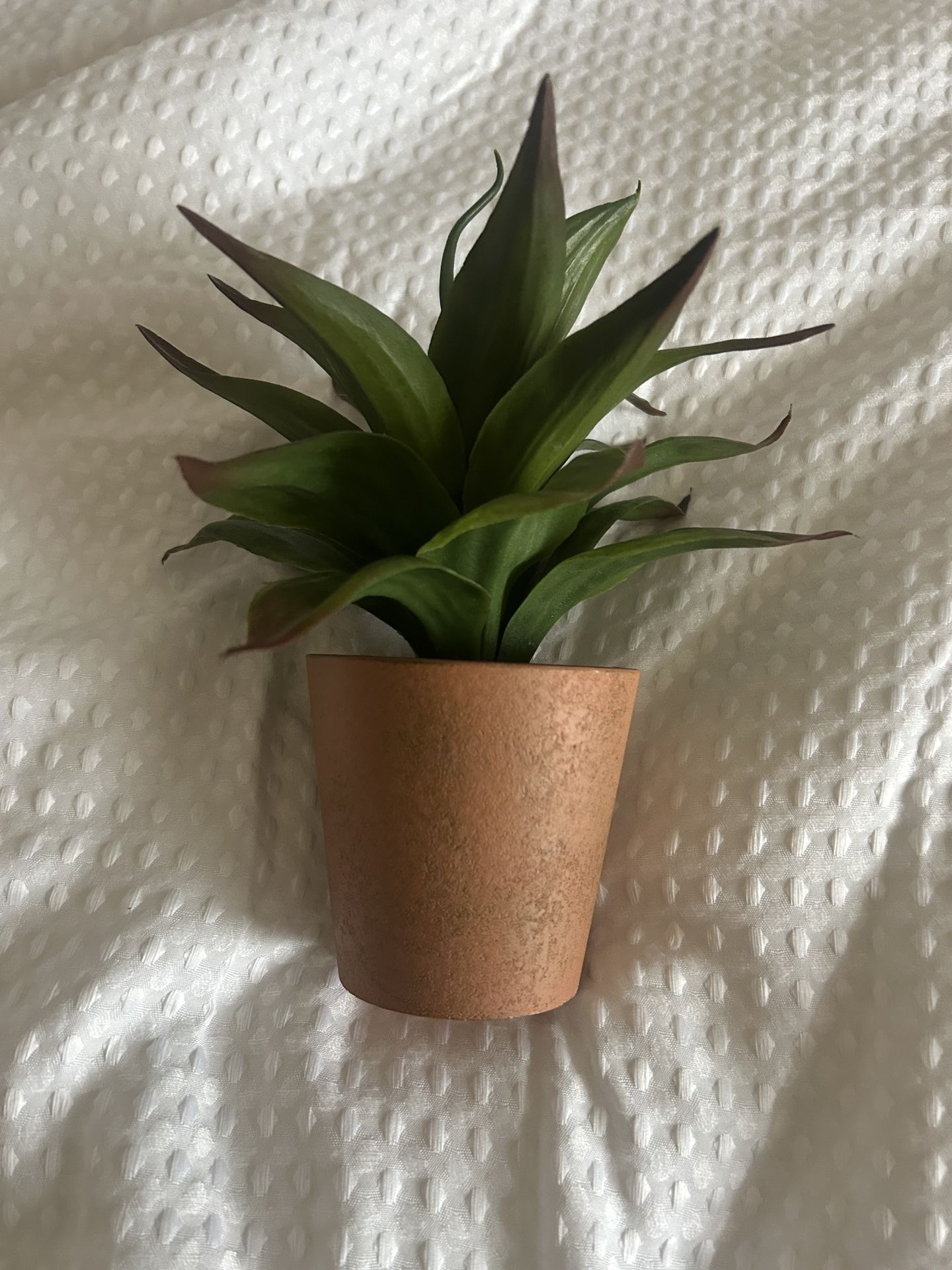 Fake Small Office Plant