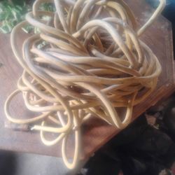 Extension Cord 