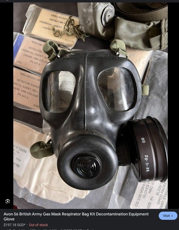 WW2 British Gas Mask