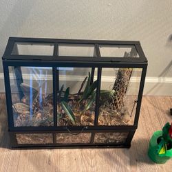 Akerbar Terrarium ( plants Not Included. 
