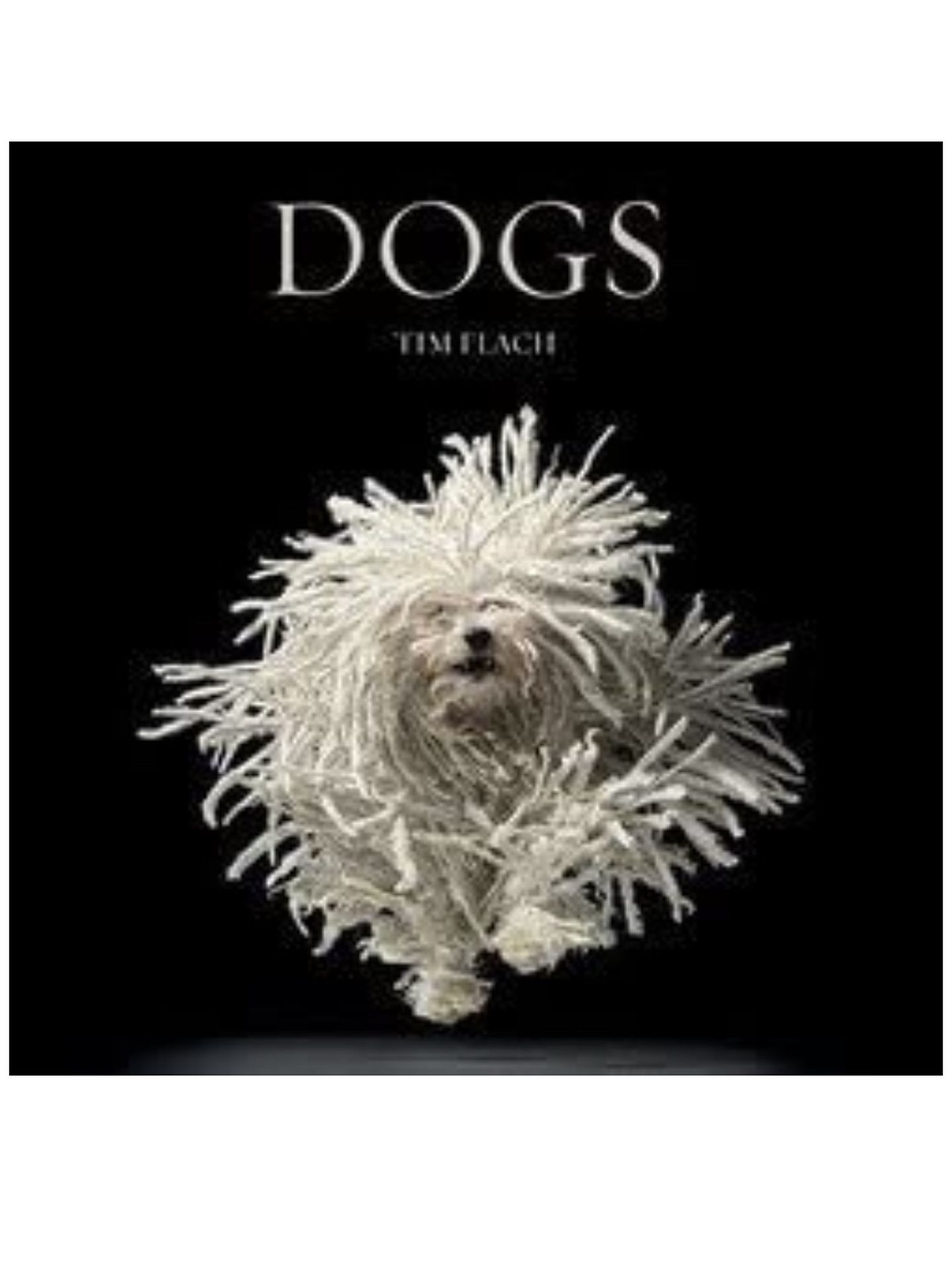 Dogs book by Tim Flach