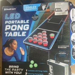 Beer Pong Table 