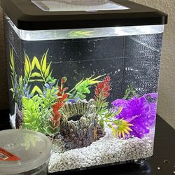 5 Gallon Tank W Decor 