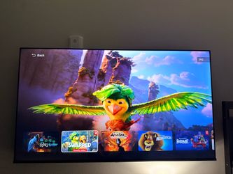 65 inch tv