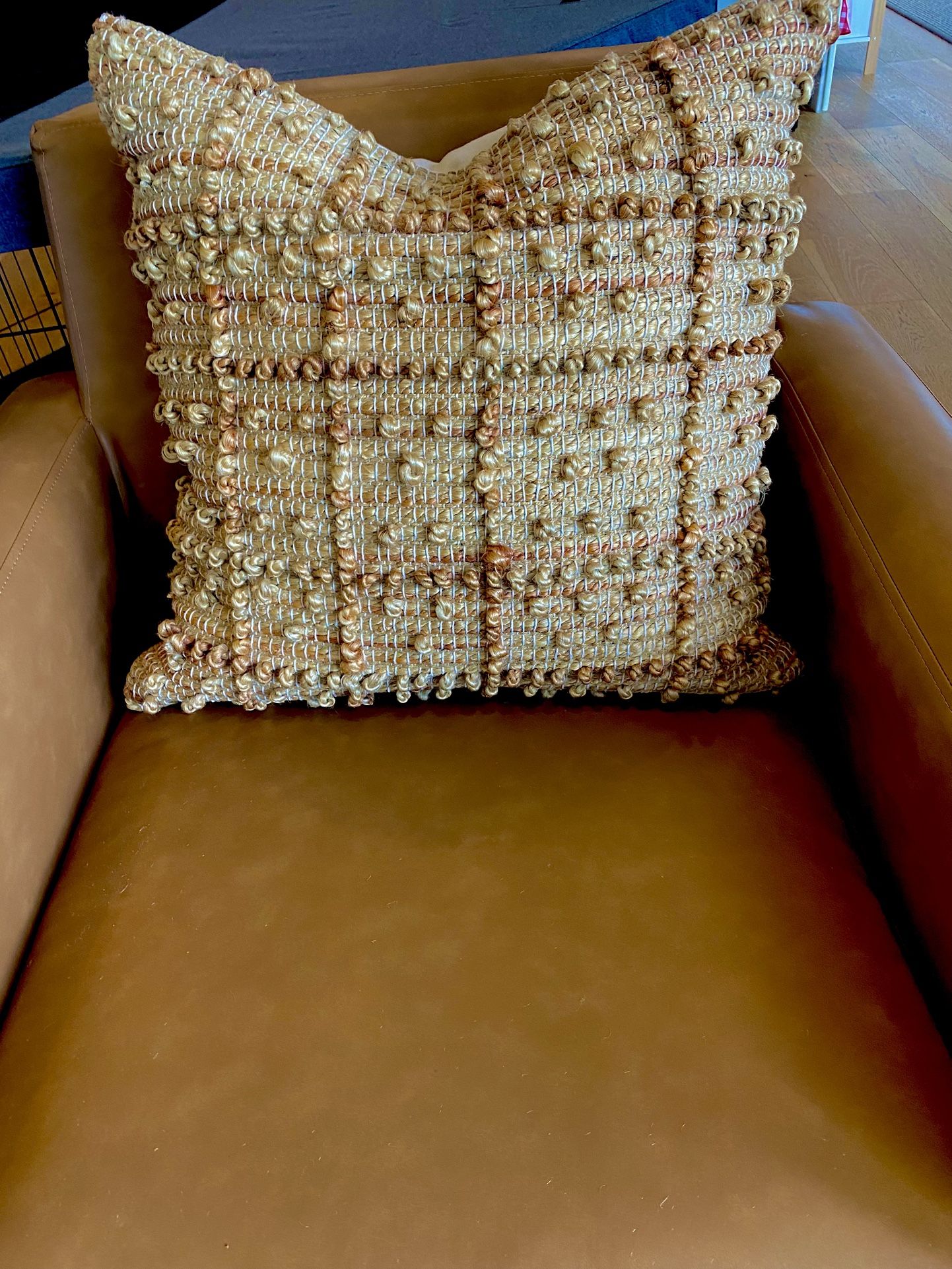 ED Ellen DeGeneres Pillow Covers