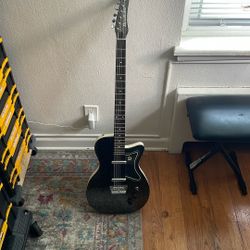 Denelectro Baritone Guitar