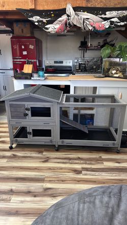 Rabbit Coop, Chicken Coop, Catio Space