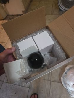 Black light bulbs (3)
