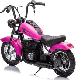 24V 250W Kids Electric Dirt Bike