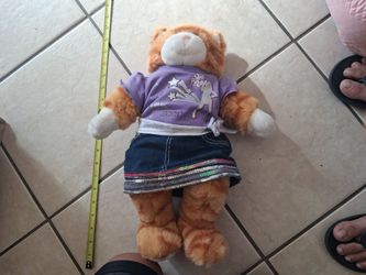 Vintage Build-A-Bear Orange Cat Plush with Outfit