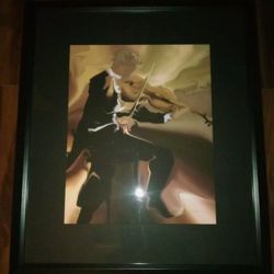 1997 STEVE BLOOM 20x16 "CLASSICAL STUDY"  NUMBERED & SIGNED 49/200 cert  FRAMED