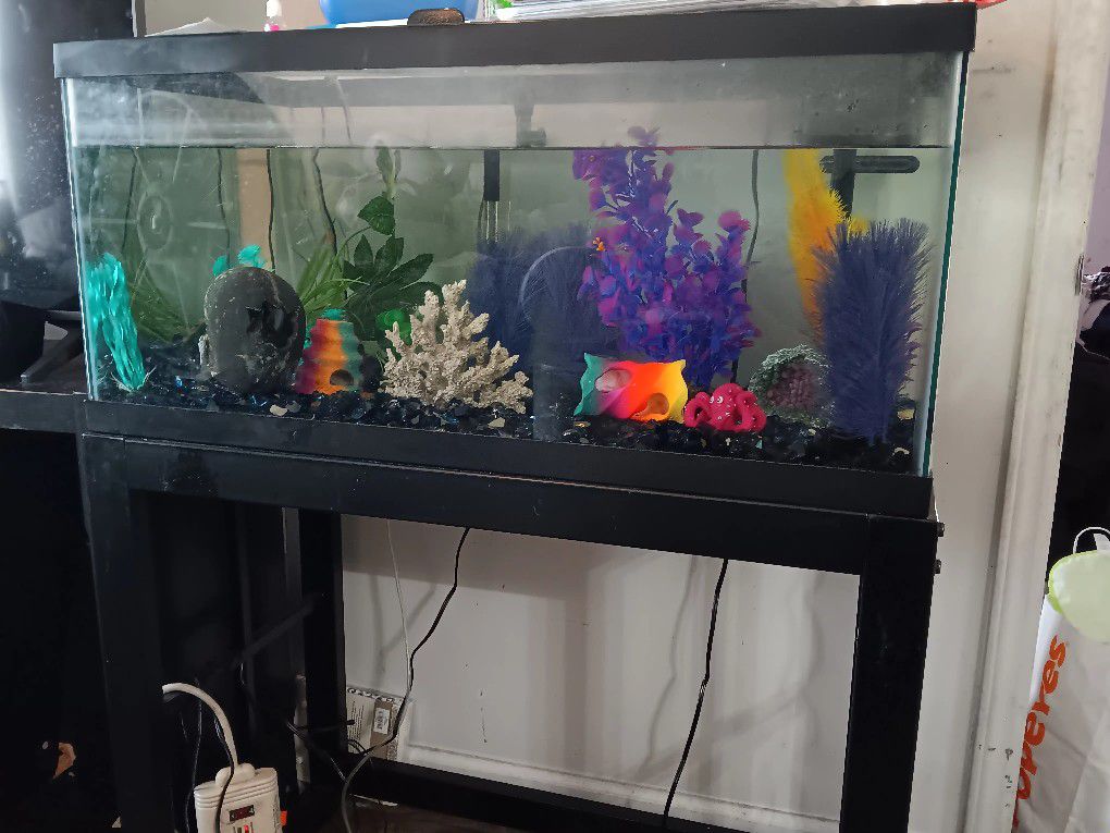 40 Gallon Fish Tank with SUPPLIES 