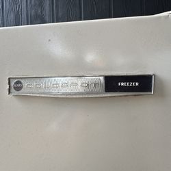 Stand Up Freezer