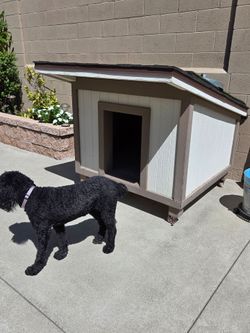 Dog house large on wheels