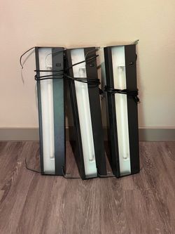 Coomercial light