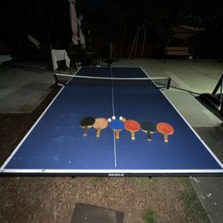 Ping Pong Table