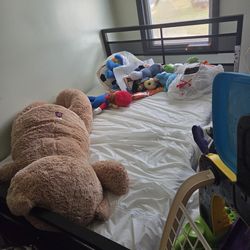 Twin Size bed 38th mattress