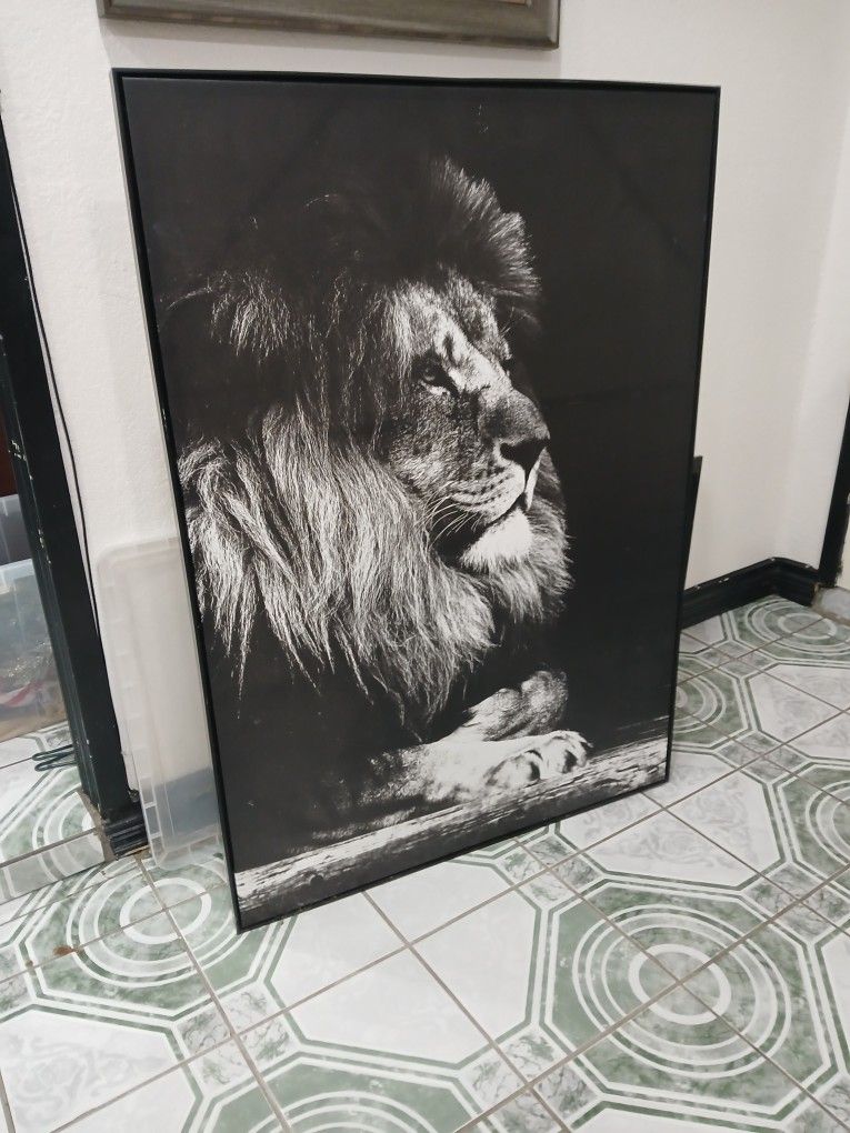 Cuadro De Pintura  56X40