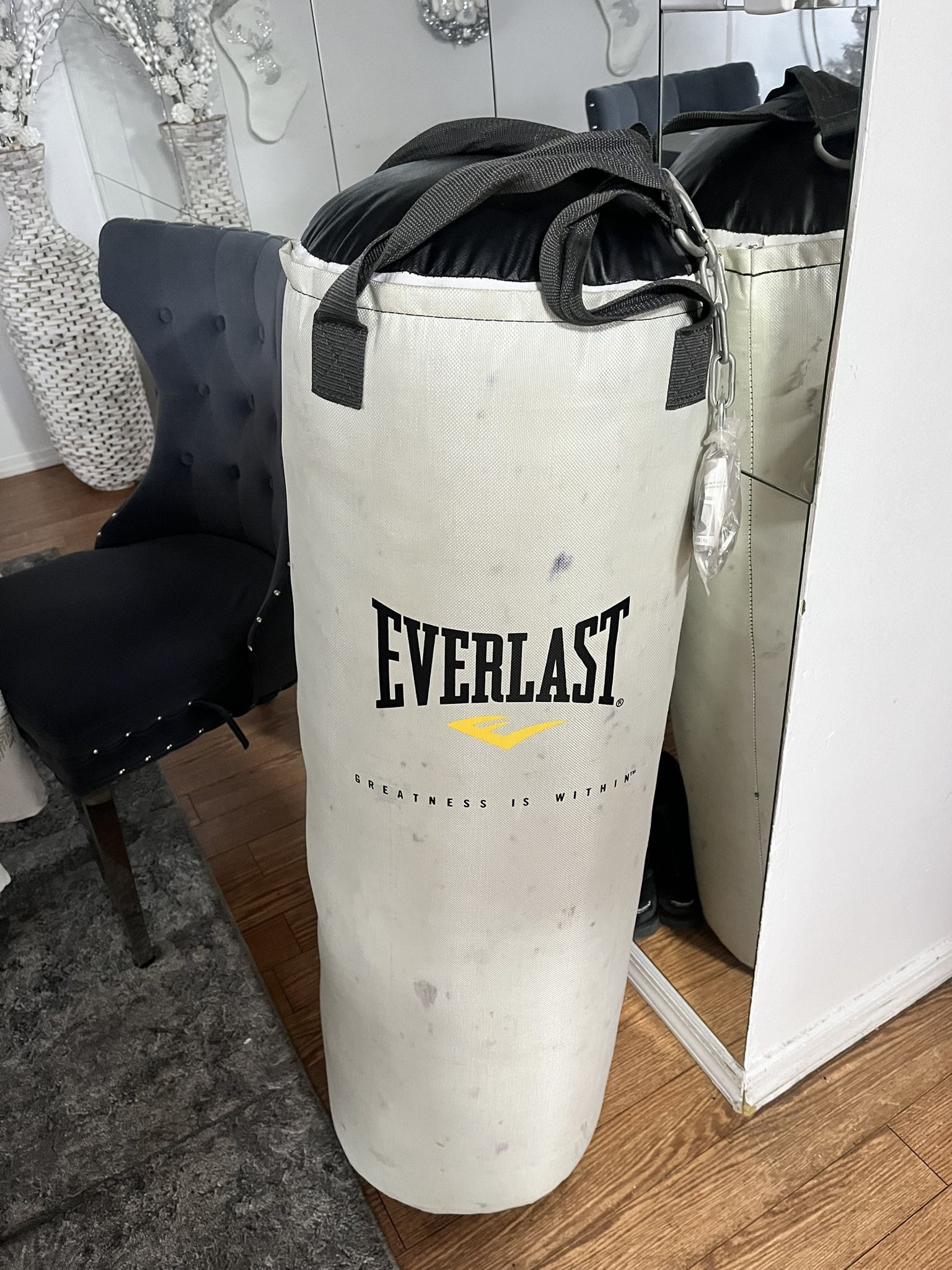  Everlast Punching Bag 