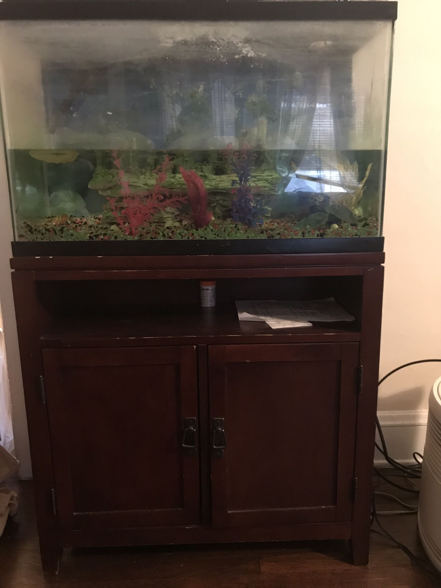 Stand and fish tank with all accessories
