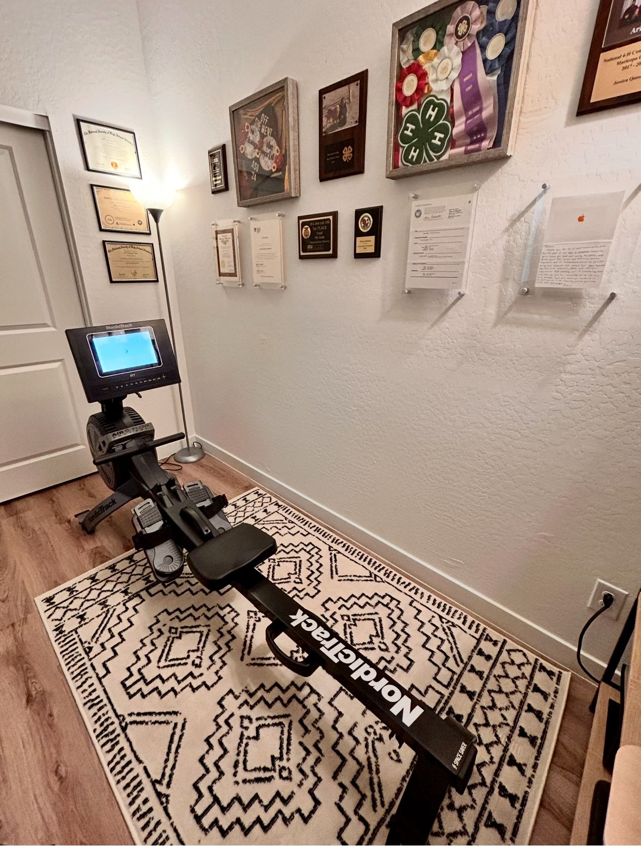 Nordic Track RW600 Rowing Machine