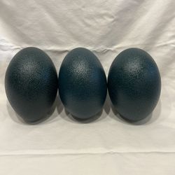 Emu Eggs