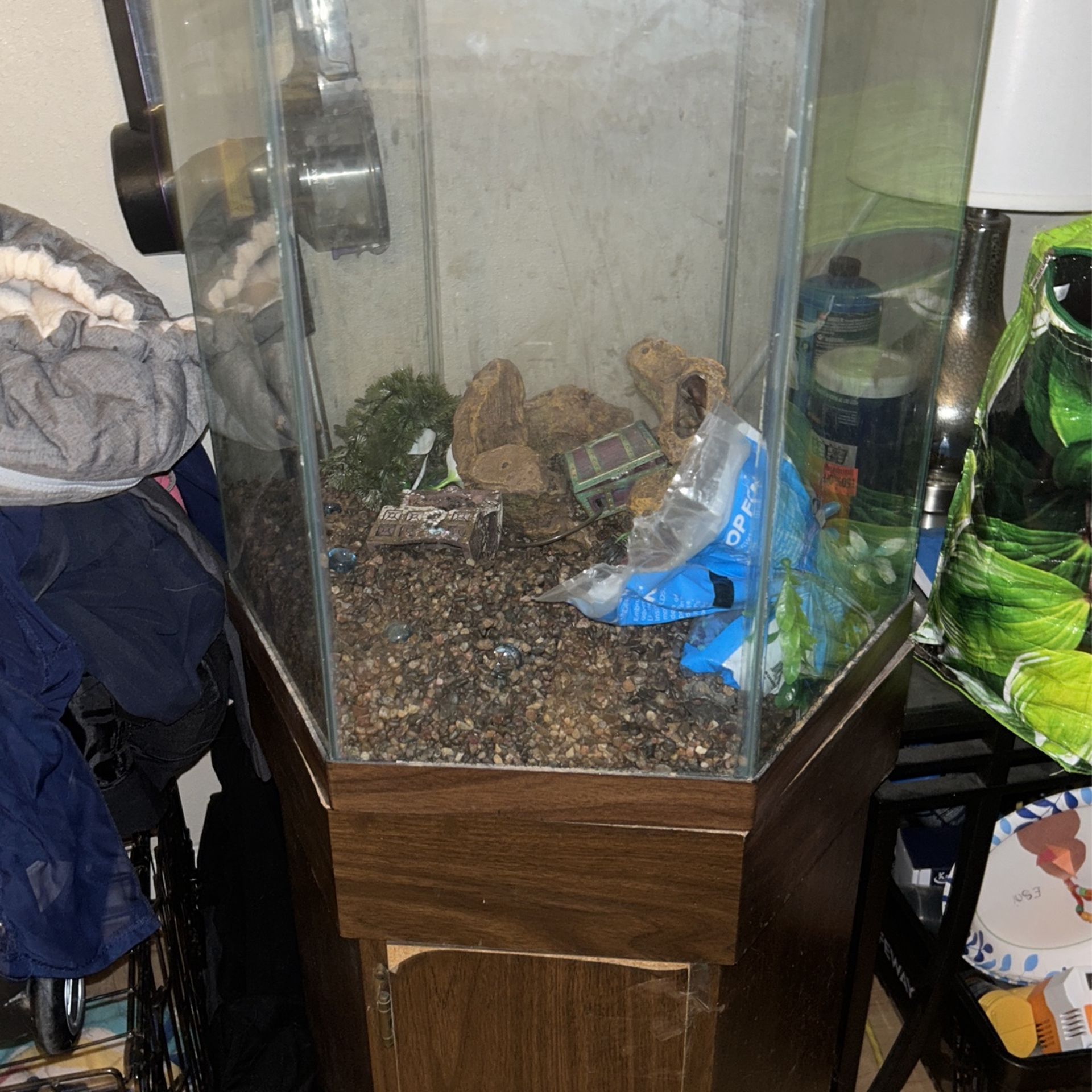 Fish Tank