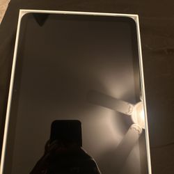 iPad 10th Gen