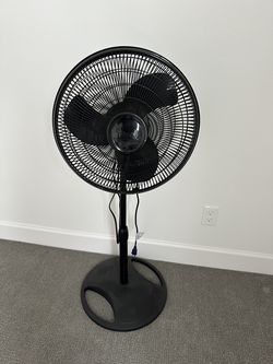 Lasso Fan