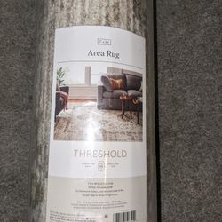 7 X 10 Threshold Area Rug
