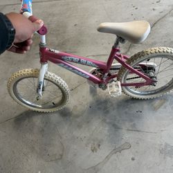 Magna Girls Bike