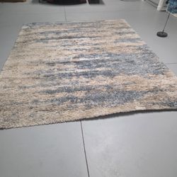 Area Rug 