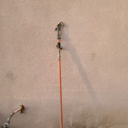 Pole Prunner