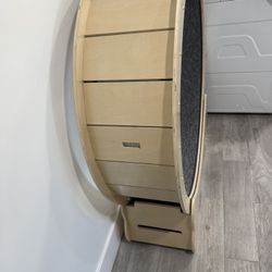 Cat Running Wheel