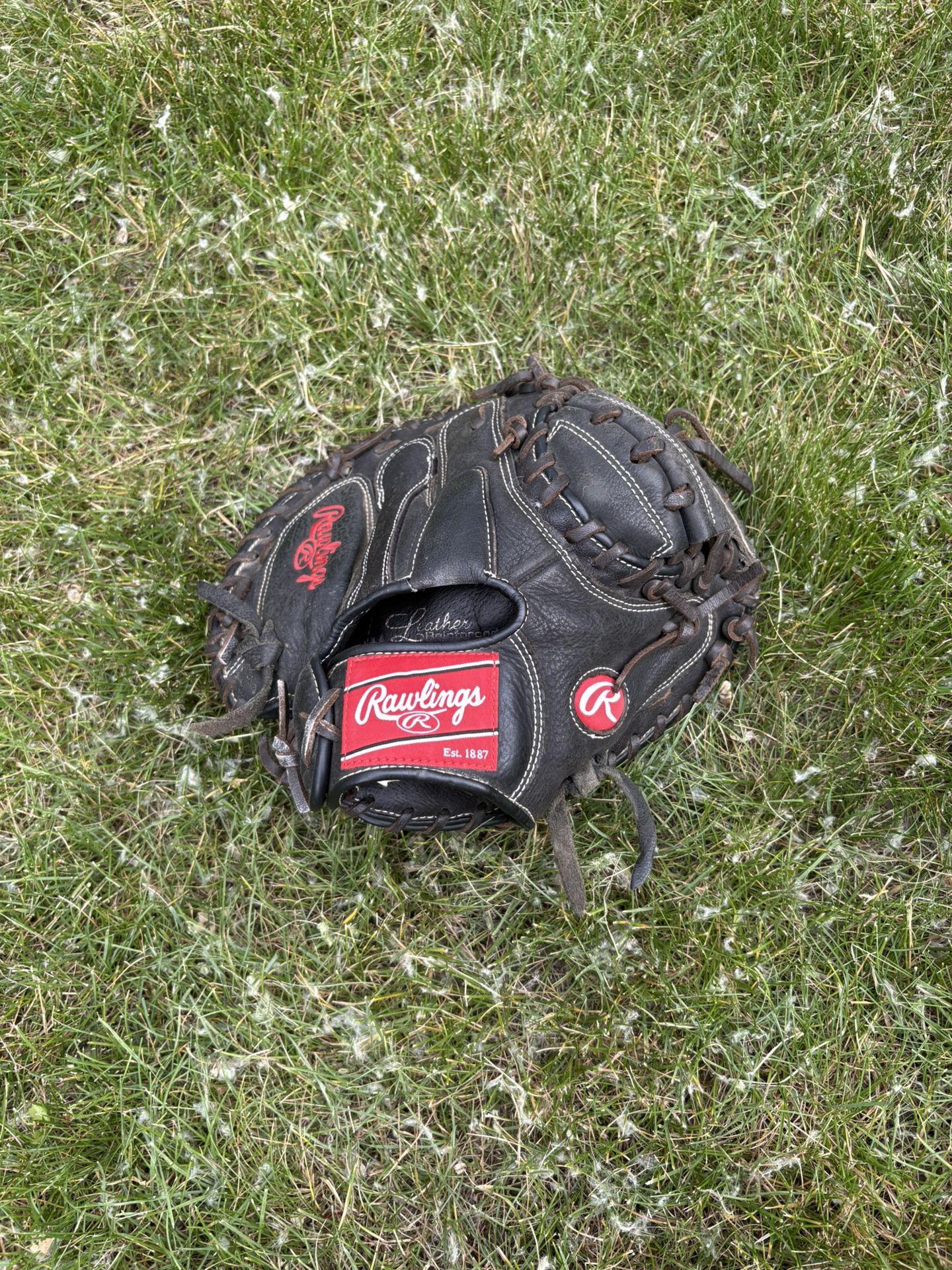 Rawlings Catchers Glove