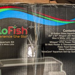 Fish Tank 10 Gallon
