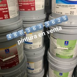 Pintura Y Material Para Pintores Paint & Supplies 
