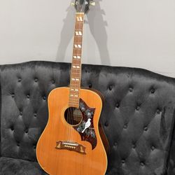 Cortley  Acoustic Guitar Floral Dove Design Lknew