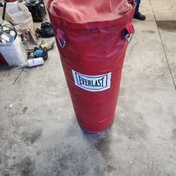 Everlast Punching Bag