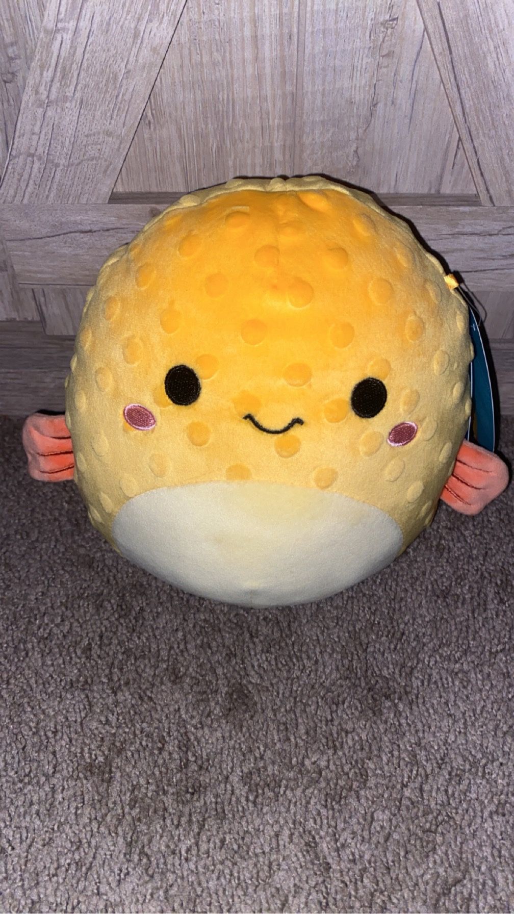 Safa The Blowfish Squishmallow 7.5in