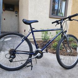 Trek bike
