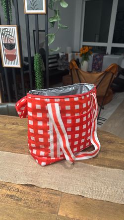 Insulated Cooler Bag/Backpack