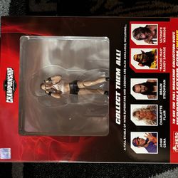 Ronda Rousey Action Figure With Comic Book!