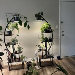 Plant Stand For Sale 
