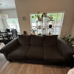 Large Pullout Couch