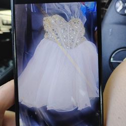 Prom/Cinceneta Dress/(Short)