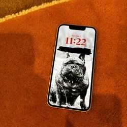 iPhone 13 Mini Unlocked